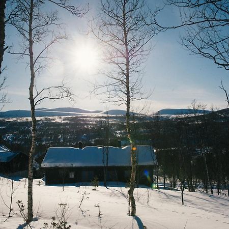 Fjaellfrid Stugby Bruksvallarna Exterior foto