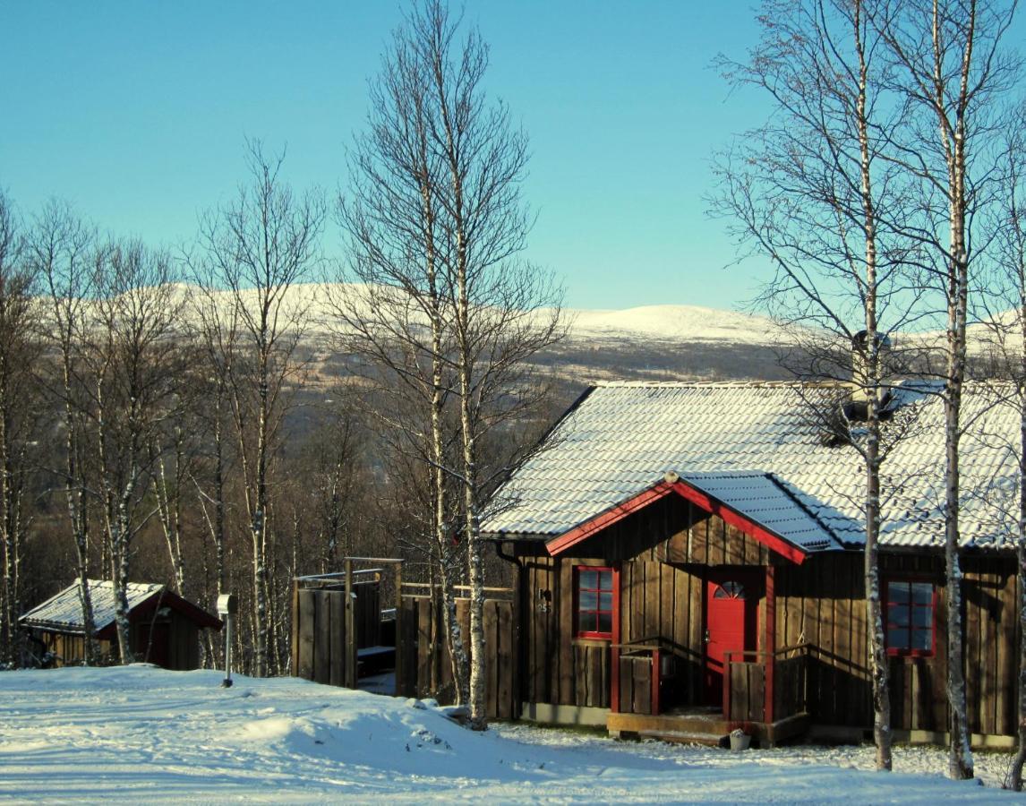 Fjaellfrid Stugby Bruksvallarna Exterior foto